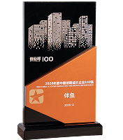 2020年度 中国创新成长企业100强
