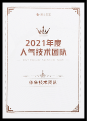 2021年度 人气技术团队